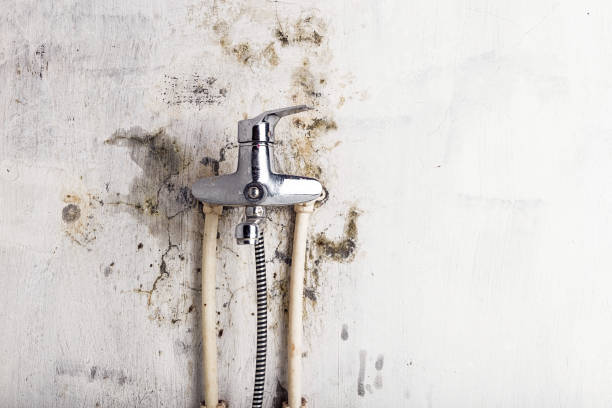 Best HVAC Mold Remediation in Lden, MA