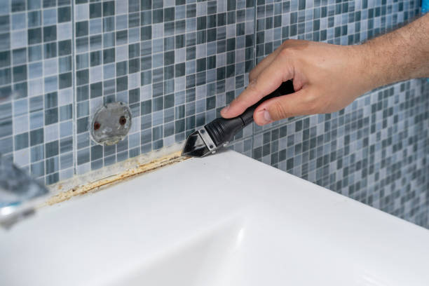 Best Localized Mold Remediation (e.g., coastal areas, humid climates) in Lden, MA